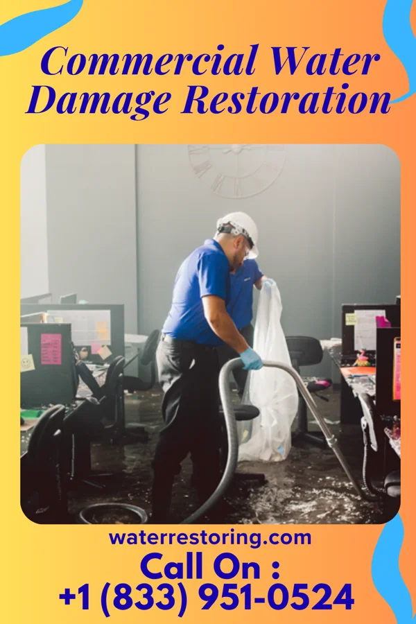 Commercial Water Damage Restoration in Mapleview, MN